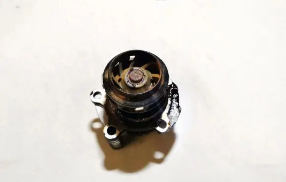 Volkswagen PASSAT B5.5 Water pump