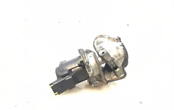 Citroen Berlingo EGR valve