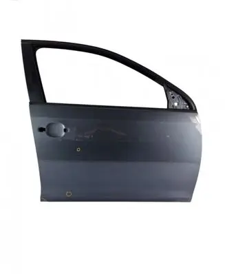 Volkswagen Golf V Front door