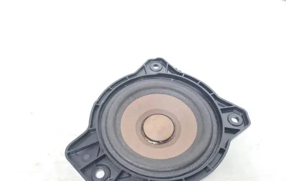 Polestar 2 Panel speaker 31456871
