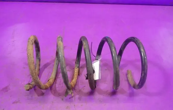 Rear coil spring