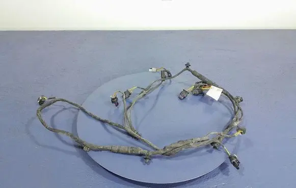 BMW X5 E53 Other wiring loom 8736607