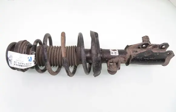 Opel Insignia A Front shock absorber with coil spring
