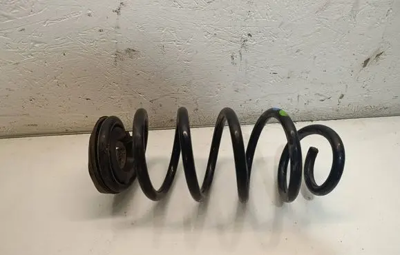 Dacia Duster II Rear coil spring 