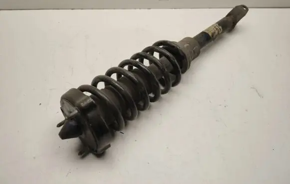 Mercedes-Benz CLS C219 Front shock absorber/damper A2193201913