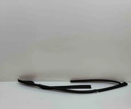 Volvo XC90 Front door glass trim molding 31841450