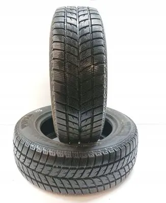 Seat Toledo II (1M) R15 winter tire 