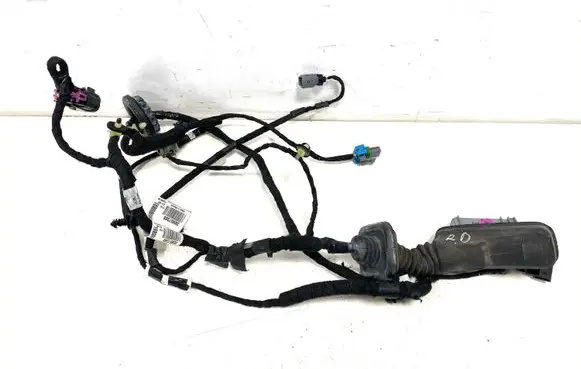 Chevrolet Volt I Front door wiring loom 20957388 100818
