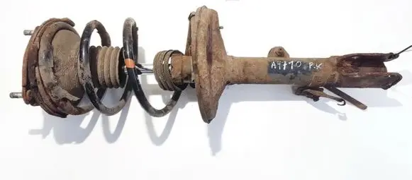 Toyota RAV 4 (XA20) Front shock absorber/damper