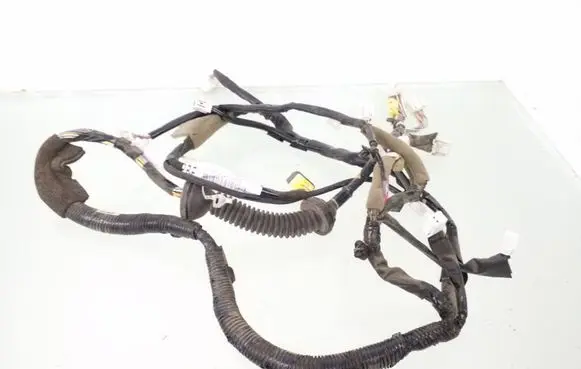 Front door wiring loom