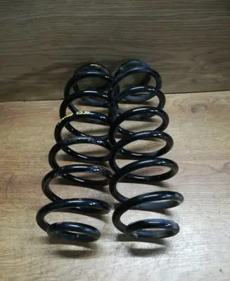 Rear coil spring