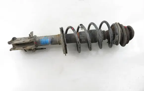 Fiat Idea Front shock absorber with coil spring 