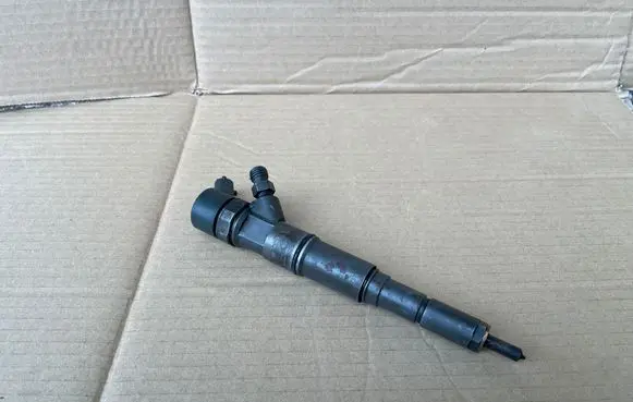BMW 5 E39 Fuel injector 0445110