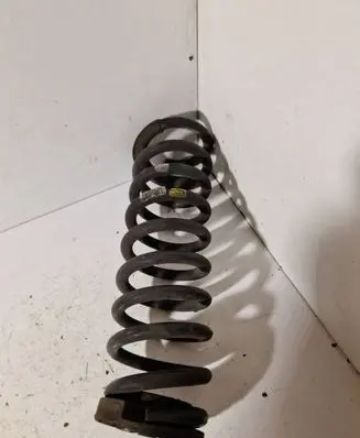 Rear coil spring