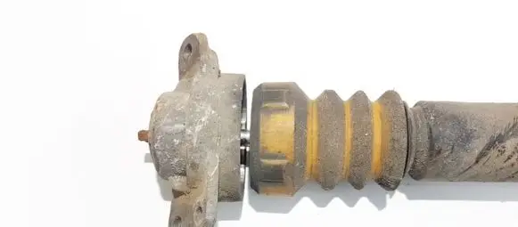 Coil spring mount