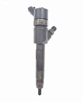 Renault Megane II Fuel injector 0445110280 H82606383