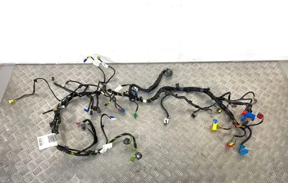Peugeot Expert Panel wiring 9812009280 9812027580 9811912680
