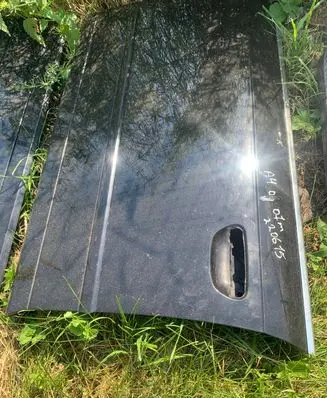 Audi A4 S4 B7 8E 8H Front door