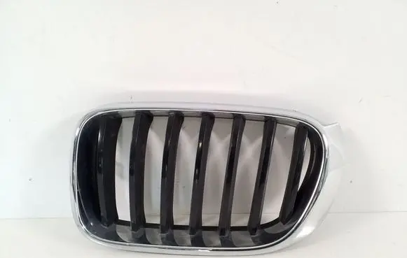 BMW X3 F25 Front grill 7338571