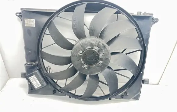 Mercedes-Benz S W220 Electric radiator cooling fan A2205000293