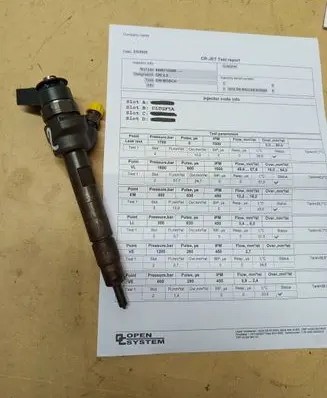 BMW 1 F20 F21 Fuel injector 0445110289
