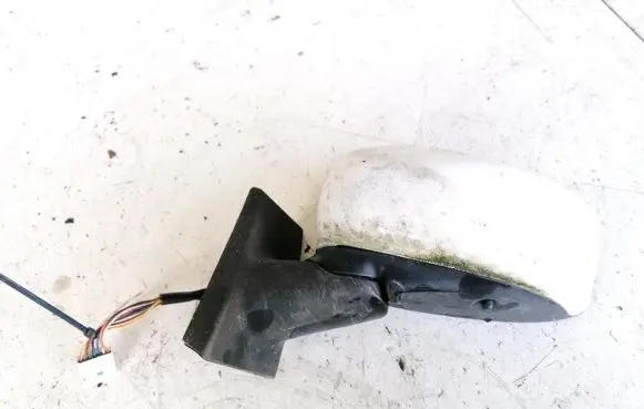 Fiat Idea Front door electric wing mirror