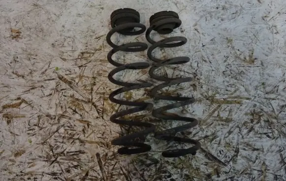Rear coil spring