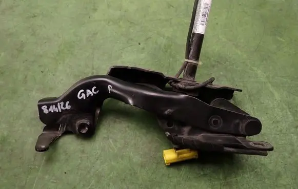 Infiniti Q30 Engine bonnet/hood hinges 0589P1000095