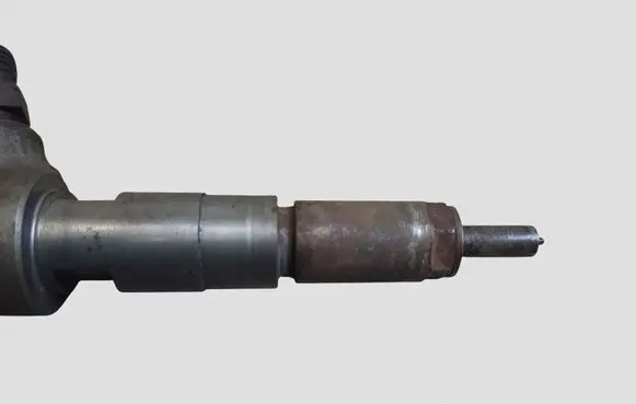 Citroen C3 Fuel injector 0445110252 565889