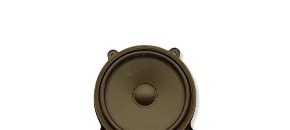 Tesla Model Y Front door speaker 107974400E