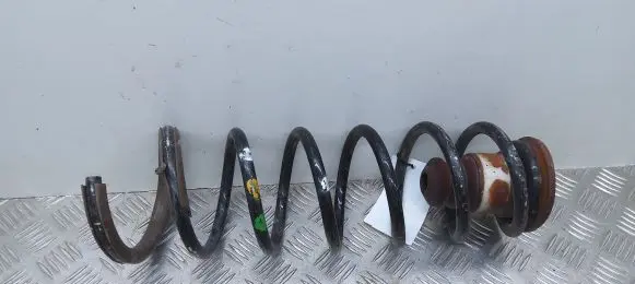 Citroen Berlingo Rear coil spring