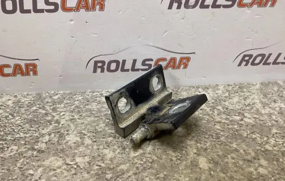 Volvo S60 Rear door lower hinge