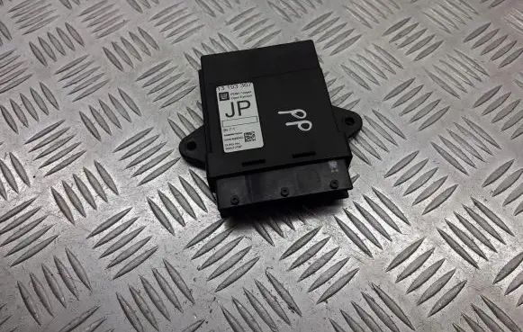 Opel Signum Door control unit/module 13193367JP