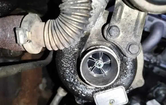 Renault Megane II Turbo 1895361118218 ff50526040603