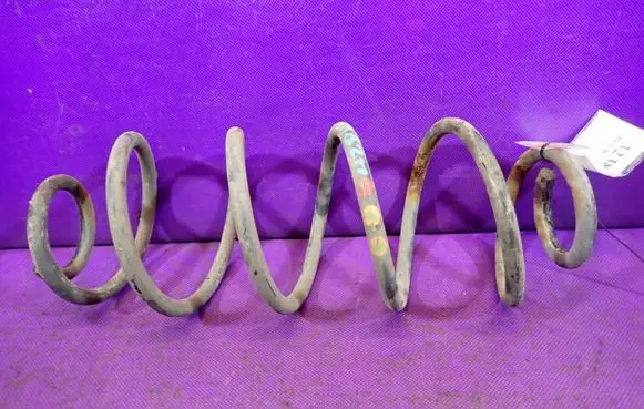 Rear coil spring