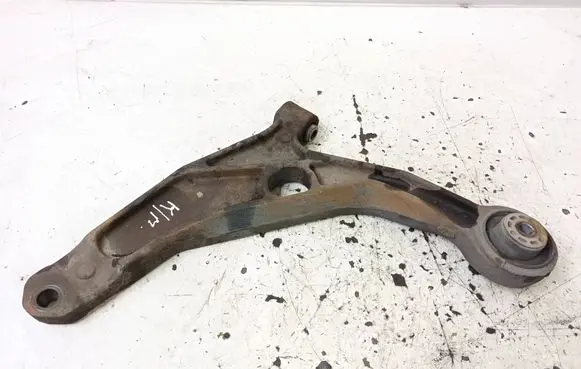 Front lower control arm/wishbone