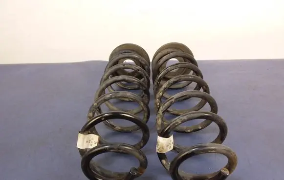 Skoda Octavia Mk3 (5E) Rear coil spring