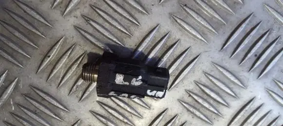 Renault Laguna I Detonation knock sensor 7700866055 h7700732262