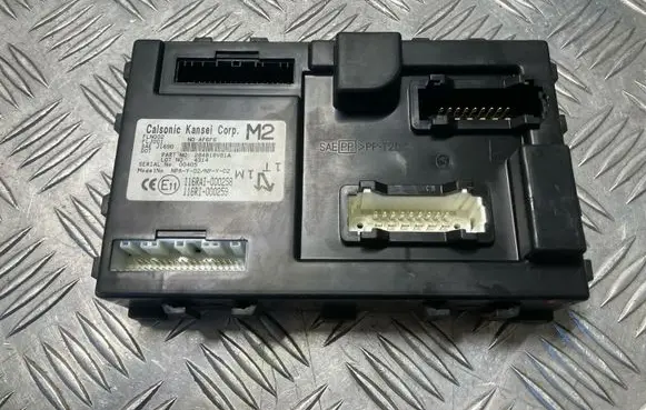 Nissan Juke I F15 Comfort/convenience module 116RAI000258
