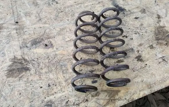 Volkswagen PASSAT B6 Rear coil spring