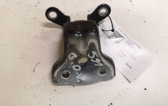 Chevrolet Captiva Rear door upper hinge