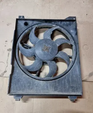 Hyundai Trajet Electric radiator cooling fan F00S3C2166