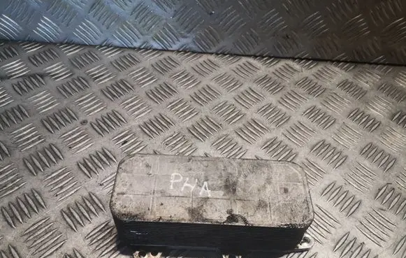 Volkswagen Phaeton Gearbox / Transmission oil cooler 07Z117021A