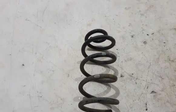 Rear coil spring