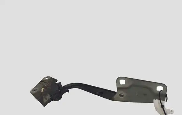 Renault Megane III Engine bonnet/hood hinges