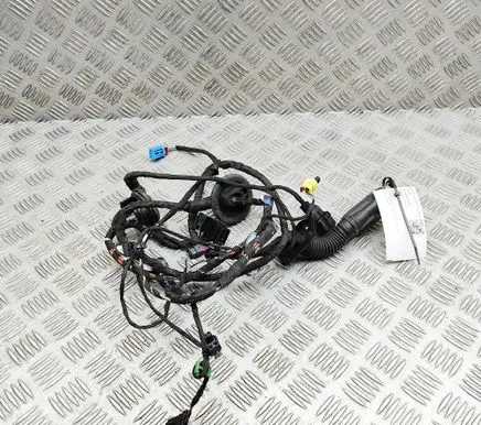 Audi TT TTS RS Mk3 8S Front door wiring loom 8S0971029E