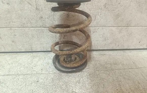Rear coil spring