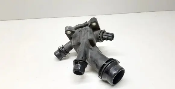 Thermostat/thermostat housing