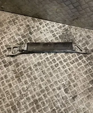 Mercedes-Benz A W169 Power steering radiator 1695000200 A1695000200