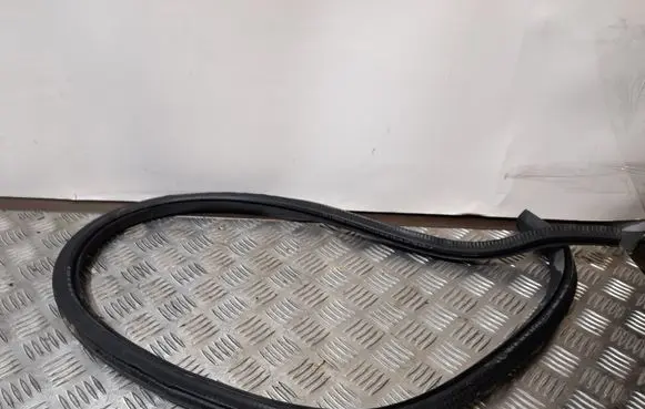 Volkswagen PASSAT CC Rubber seal rear door 3C8867913